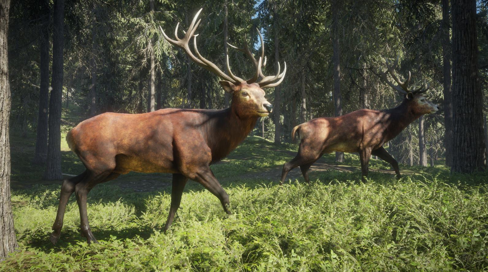 超级养老休闲的狩猎游戏，让你体验真实的打猎氛围
