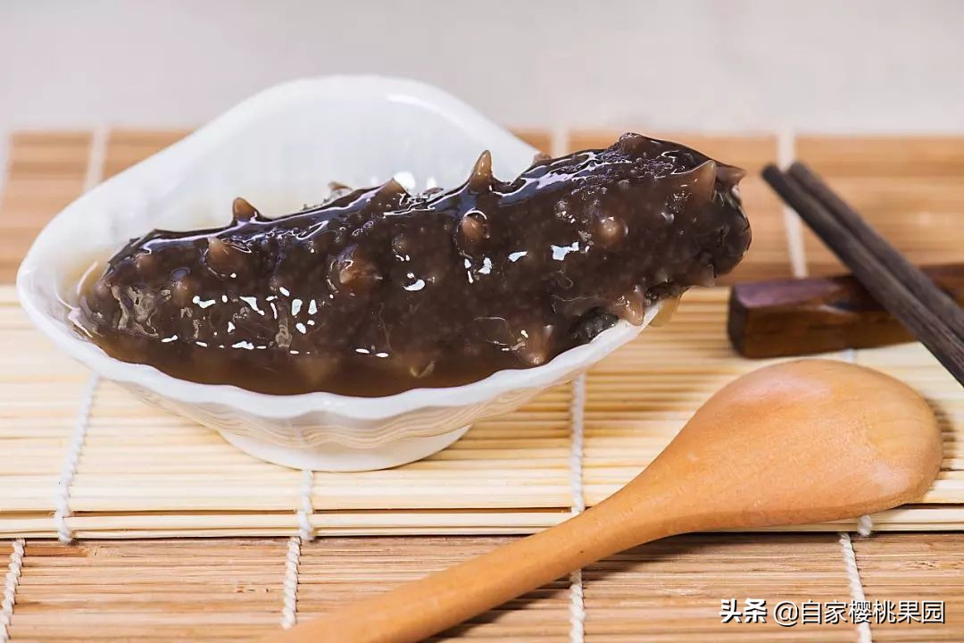 辽参科普,真正的辽参