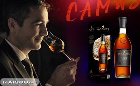 全球数字货币交易所总共有多少,全球区块链数字货币交易所