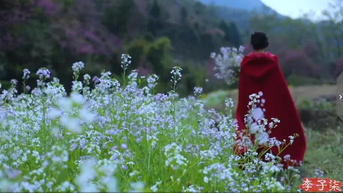 李子柒的鲜花视频,李子柒鲜花宴视频