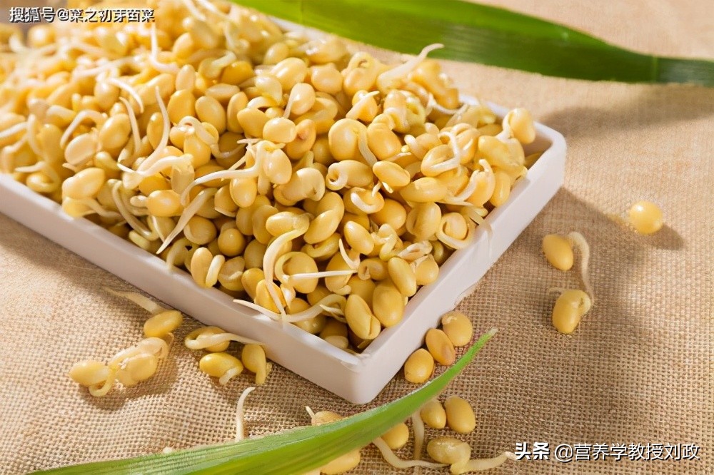 黄豆芽怎么样才能长得快,黄豆芽怎么样才不会发绿