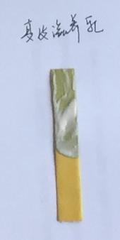 连保养爱车都送去4S店,还敢说自己是“发烧友”?