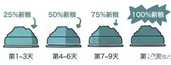 狗狗挑食怎么办教你四招轻松解决,狗狗挑食怎么办视频