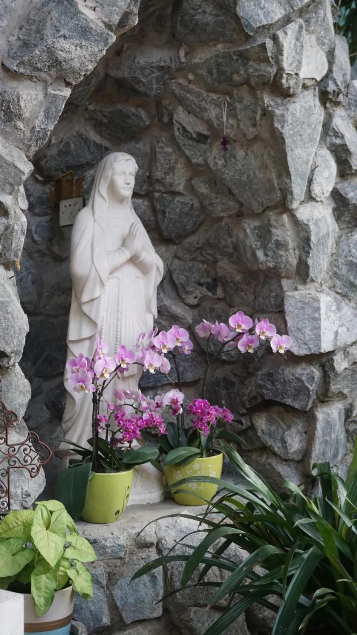 广州最北的地方,广州景区沙面岛