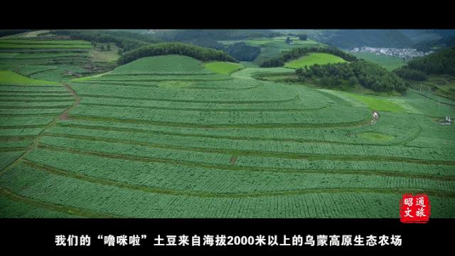 前方高能的美食来袭,前方高能预警吃货