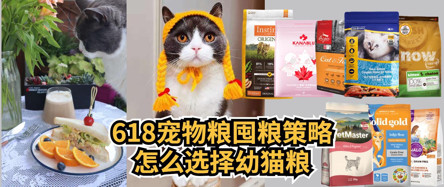 幼猫粮口碑最好的十大猫粮测评,猫粮幼猫粮推荐