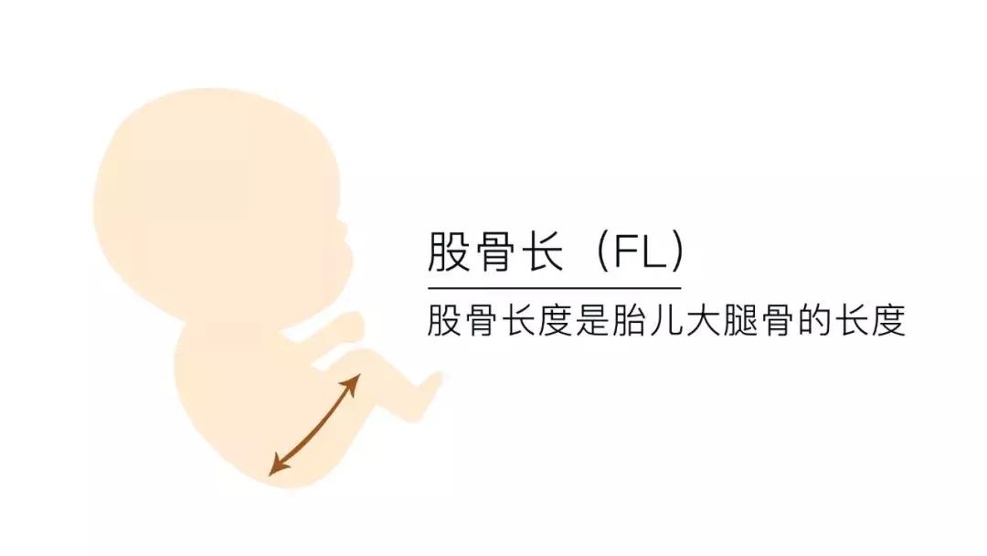 B超单的秘密，你看懂了？