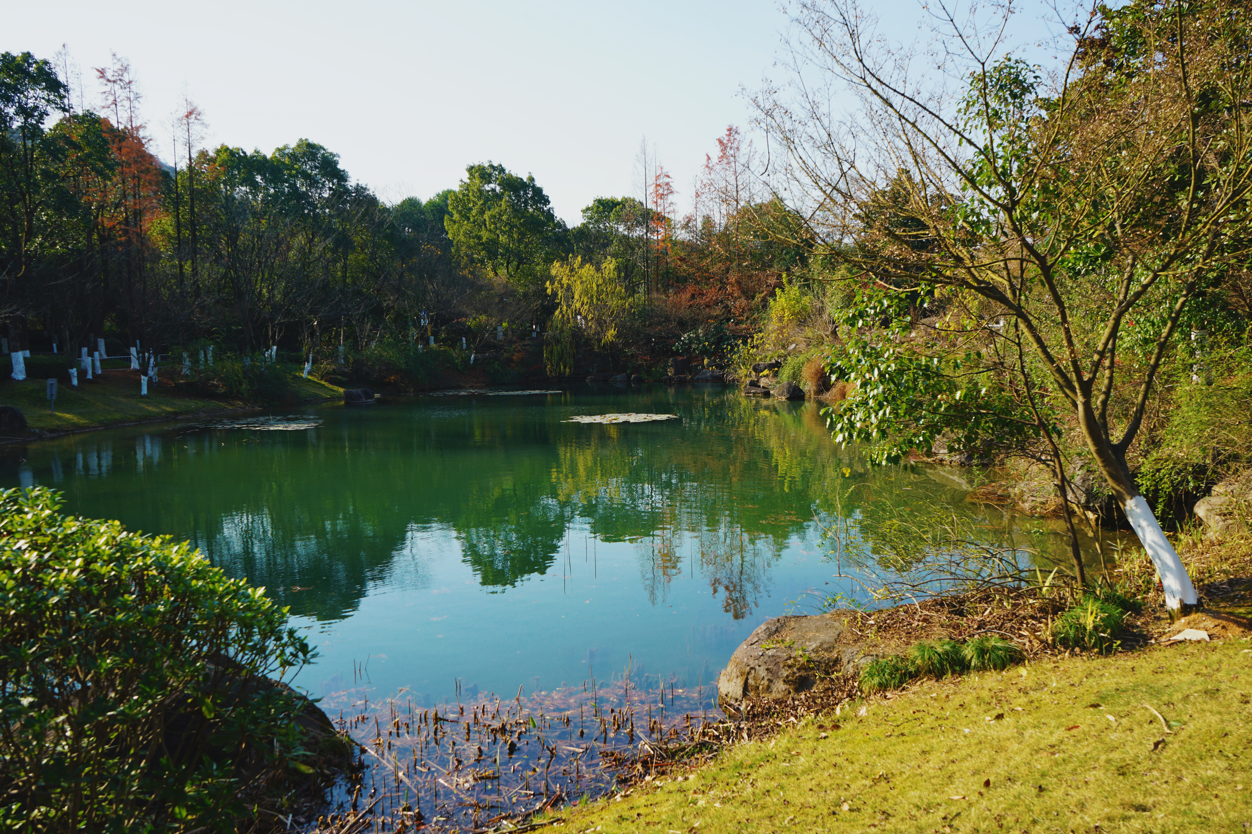 良渚君澜双人温泉,冬日暖阳泡温泉