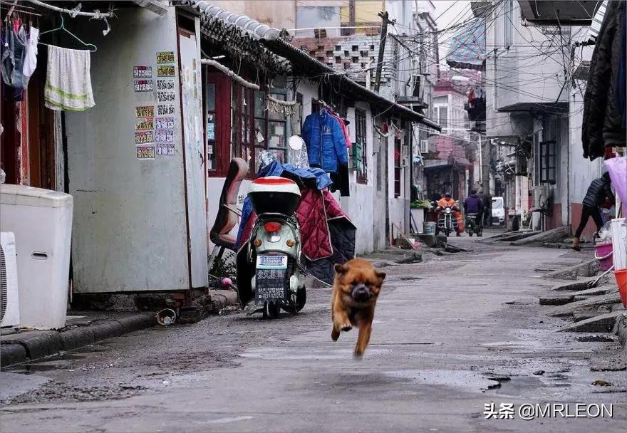 毕业去哪儿旅行,毕业去上海哪个区