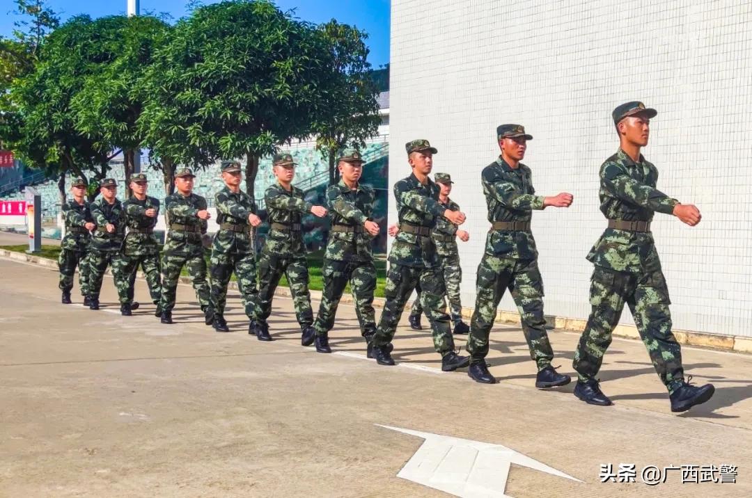 新兵入伍感受1000字,新兵的感受作文