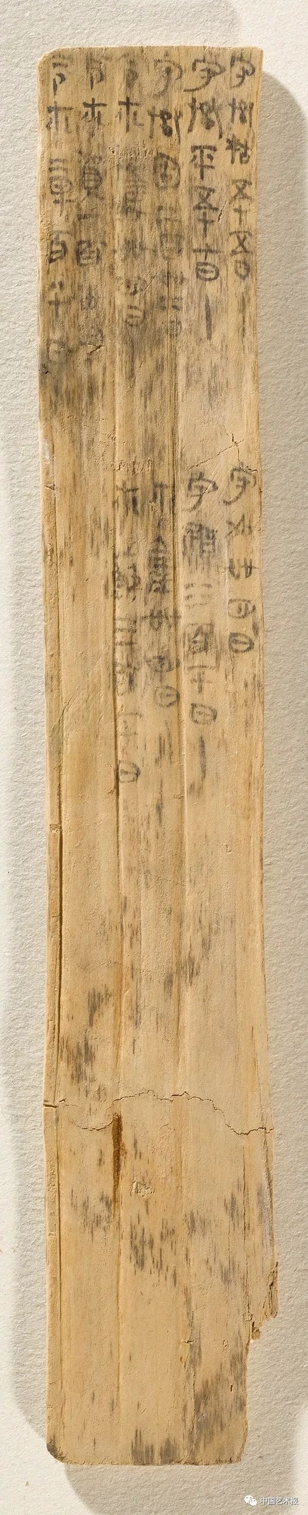 在秦朝，二十钱就可买到一斗虎肉｜里耶秦简里的小城故事