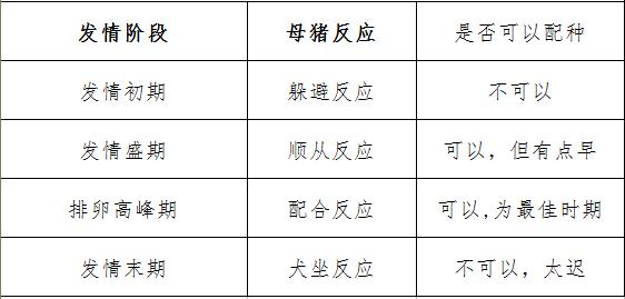 记住母猪配种这32字民间顺口溜，母猪配种时机全掌握