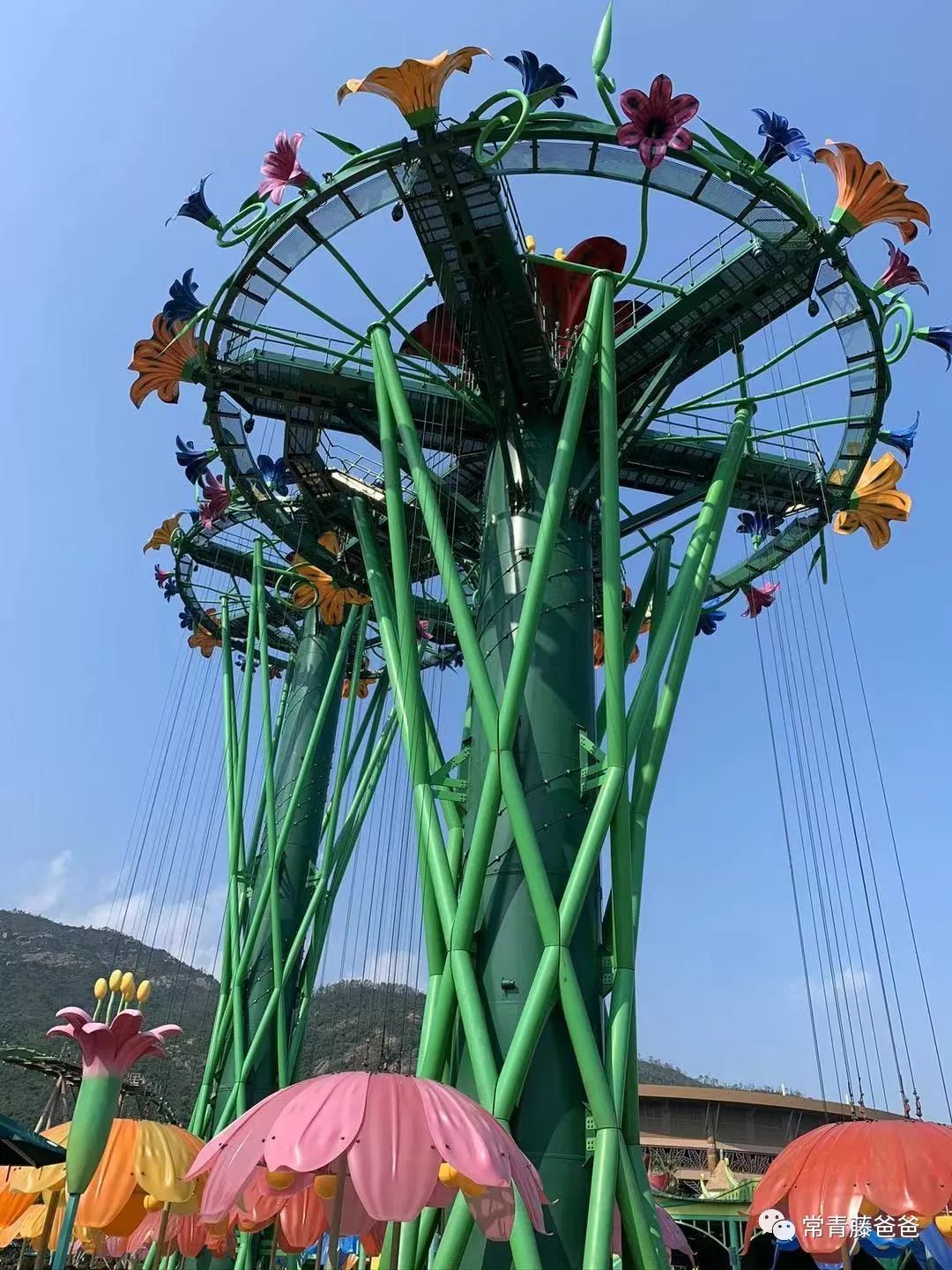 过年去珠海长隆海洋王国游玩攻略,广州长隆欢乐世界带娃一日游攻略