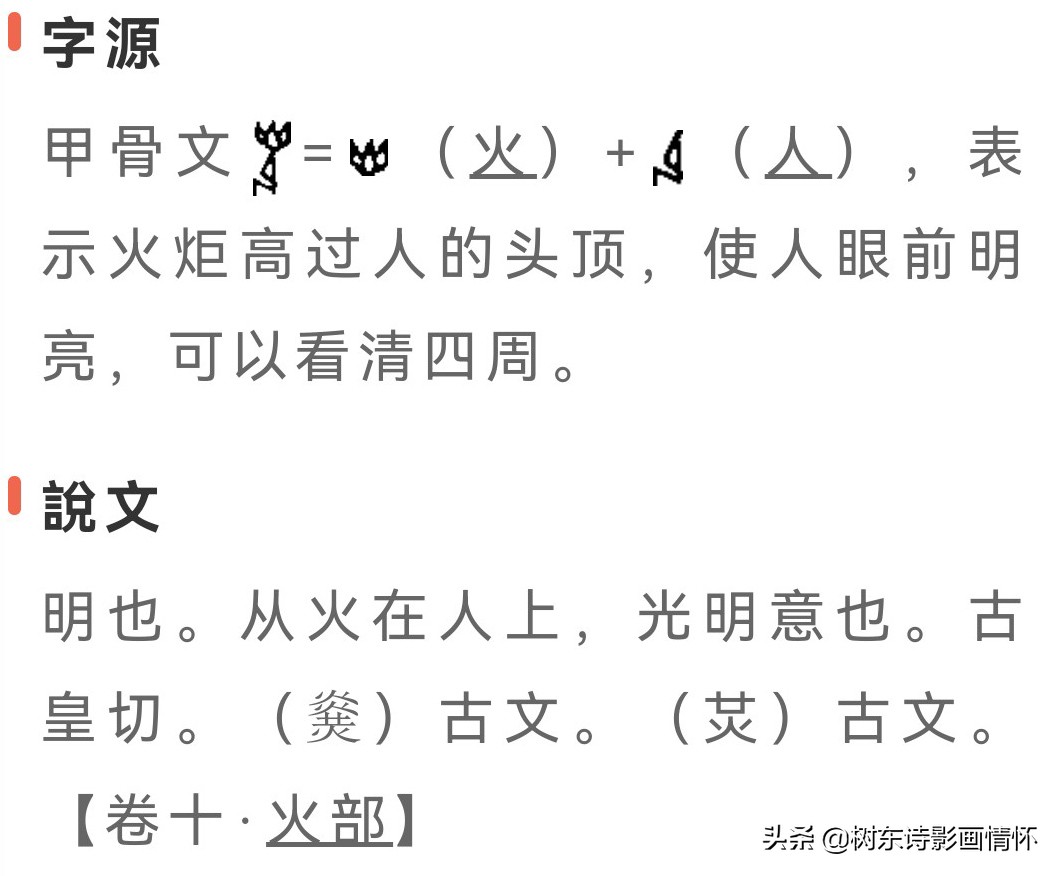 树东说文解字“光”，韬光养晦的历史典故，给我们的启示