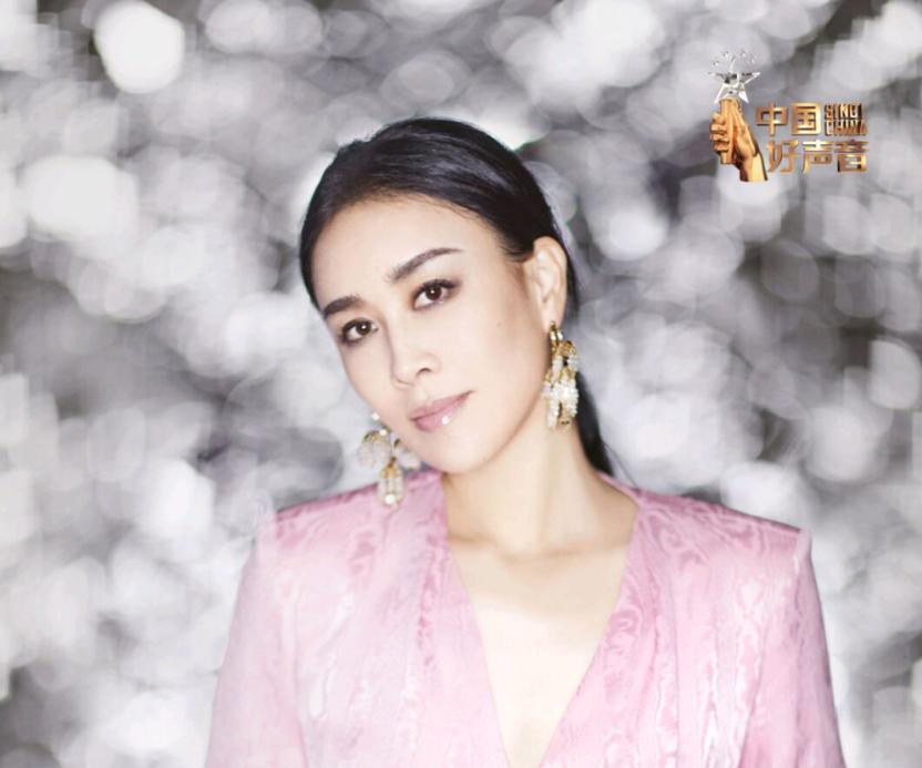 那英不配,那英到底是一个怎样的人