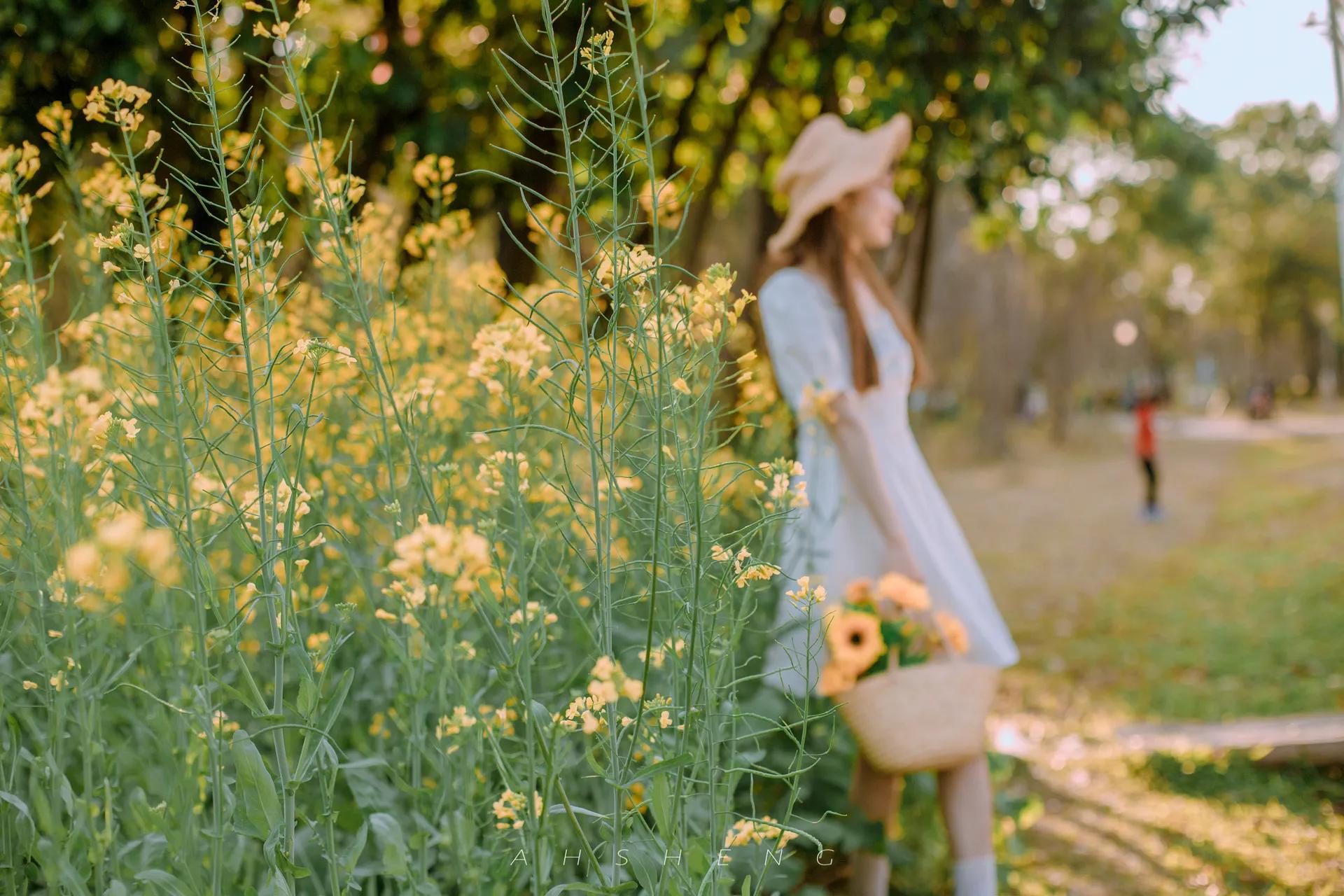 美女向日葵的唯美图片,美女向日葵照片