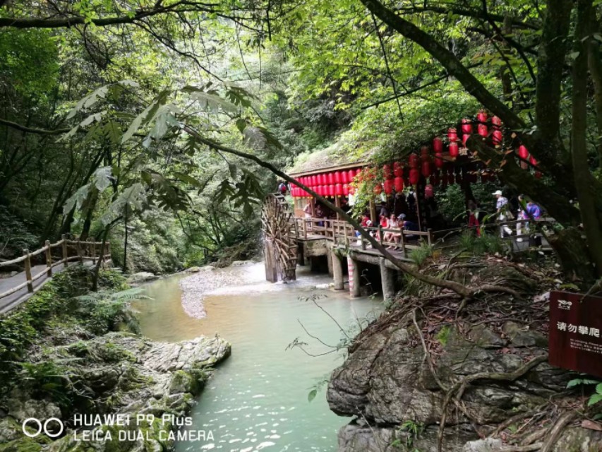 重庆黑山谷避暑适合吗,重庆避暑7天黑山谷