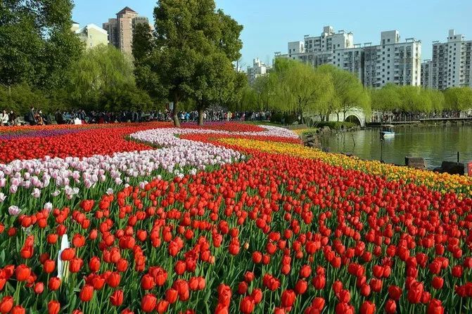 上海休闲娱乐好去处可以呆一整天,上海十大免费玩的地方