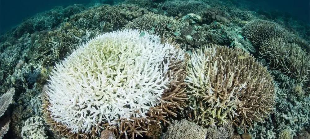 你对海洋了解多少个视频,你对海洋馆了解多少