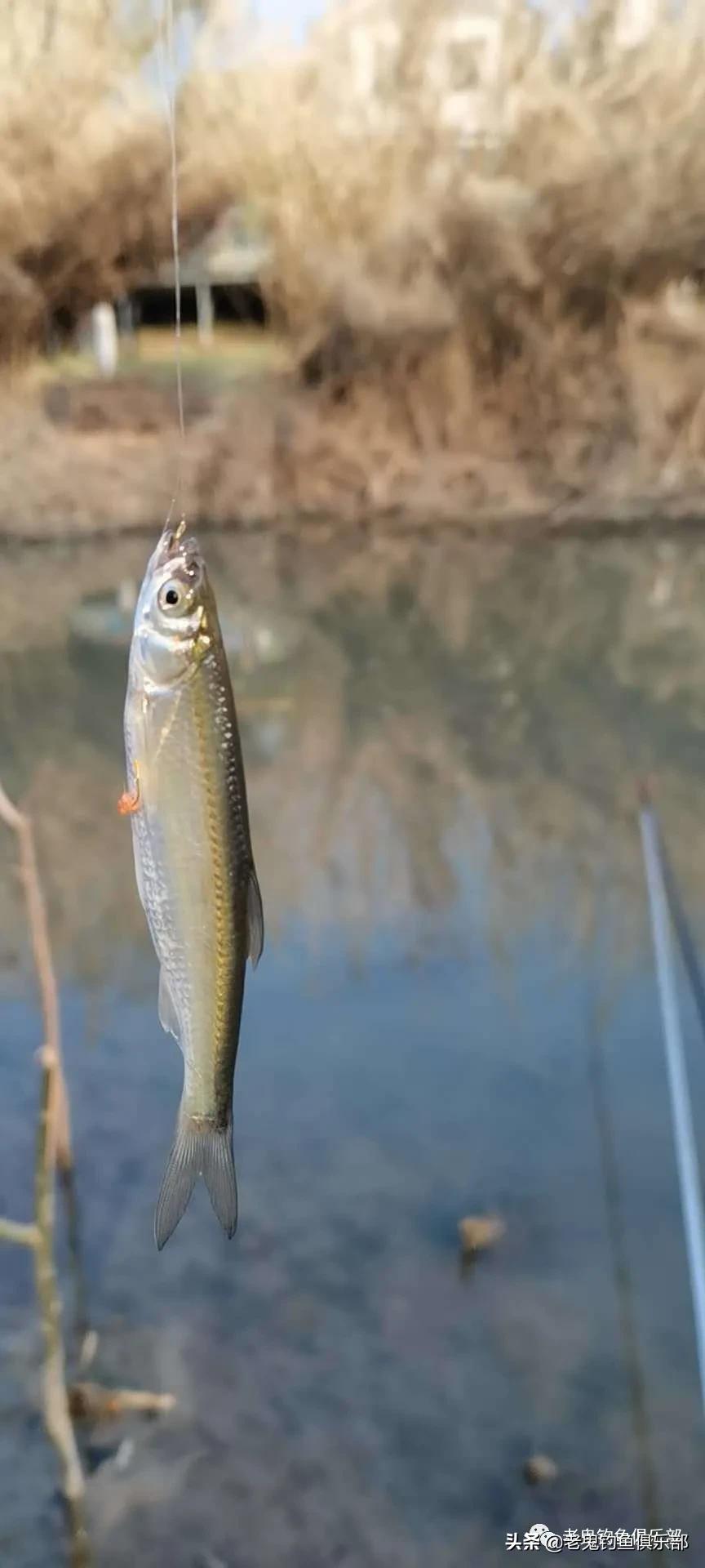 济南天气多变,济南天气变化
