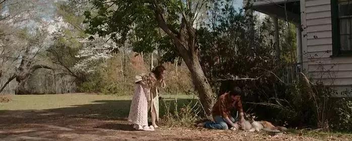 又吓人又伤脑的恐怖片,会让人头皮发麻的恐怖片