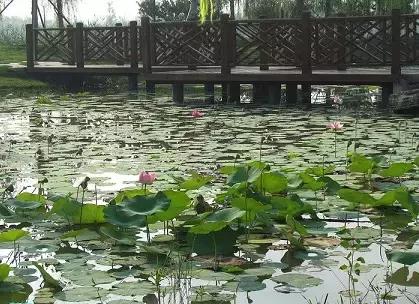 北京这38个森林公园您先收藏了!定个小目标,有空儿玩个遍!