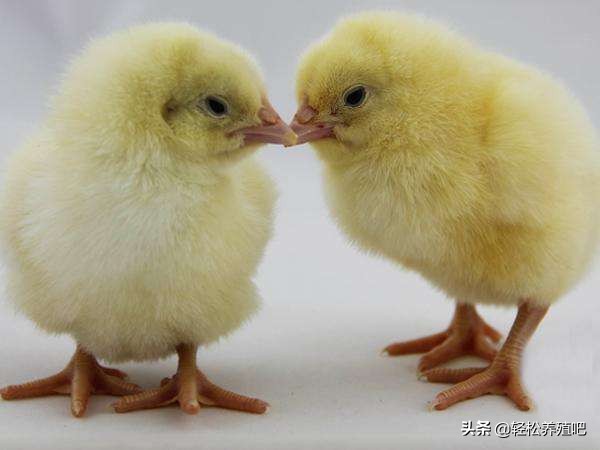 做好这3点你就能活得很好,做好这三点可能改变你的命运