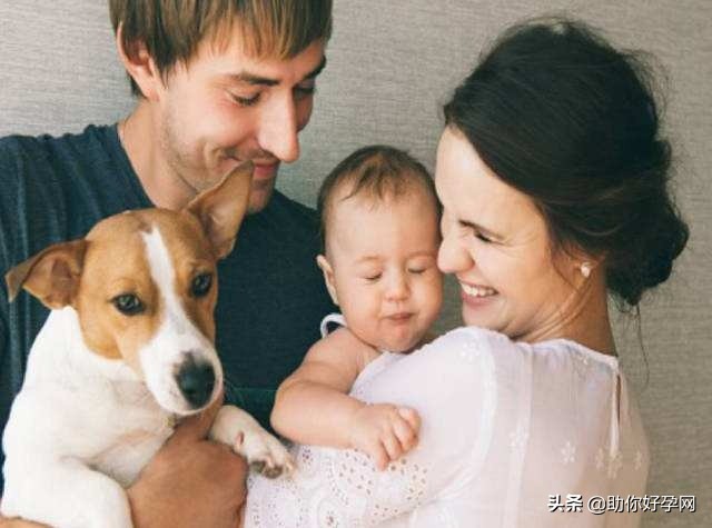 婆婆说怀孕不能养狗,央视辟谣怀孕不能养狗视频