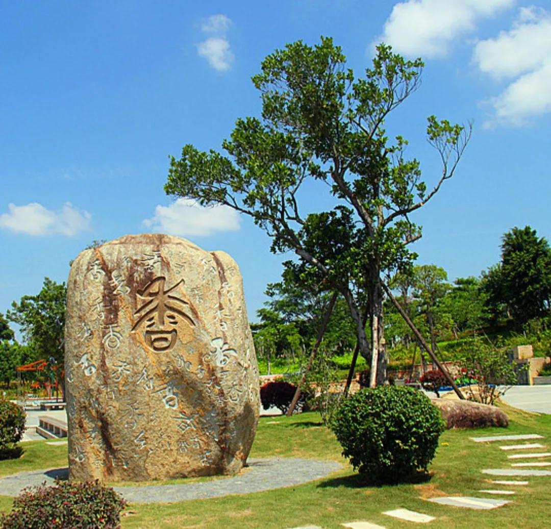 厦门香山有什么风景,厦门翔安必去8个景点香山
