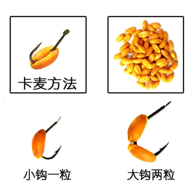 一种神奇钓法世代相传能钓各种鱼,四川钓谷麦的正确方法