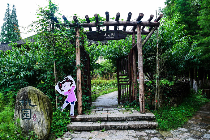 乌村暑期夏令营，吃喝玩乐在这里