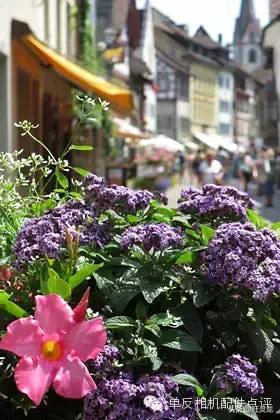 尼康单反初学人像摄影技巧大全,尼康单反相机入门教程人像