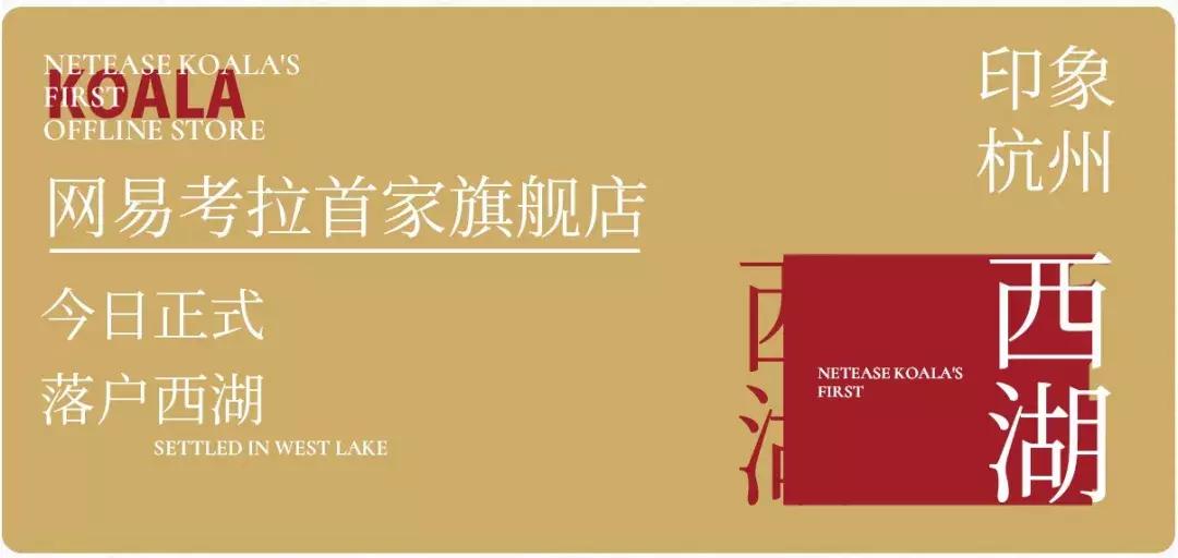西湖网易考拉,杭州西湖网易考拉