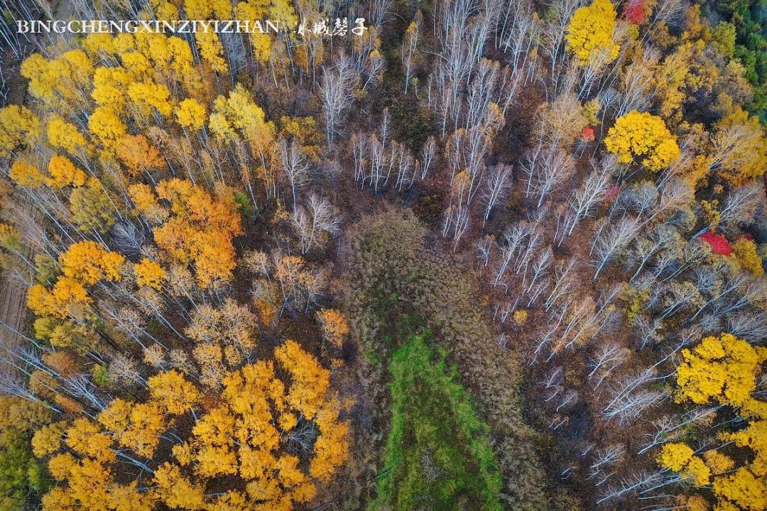深秋的大兴安岭色彩斑斓,大兴安岭的秋天美景