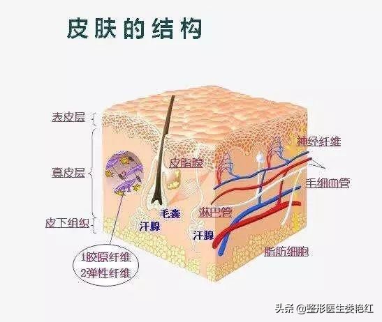刷果酸可以祛黑头吗,去闭口粉刺黑头果酸产品推荐