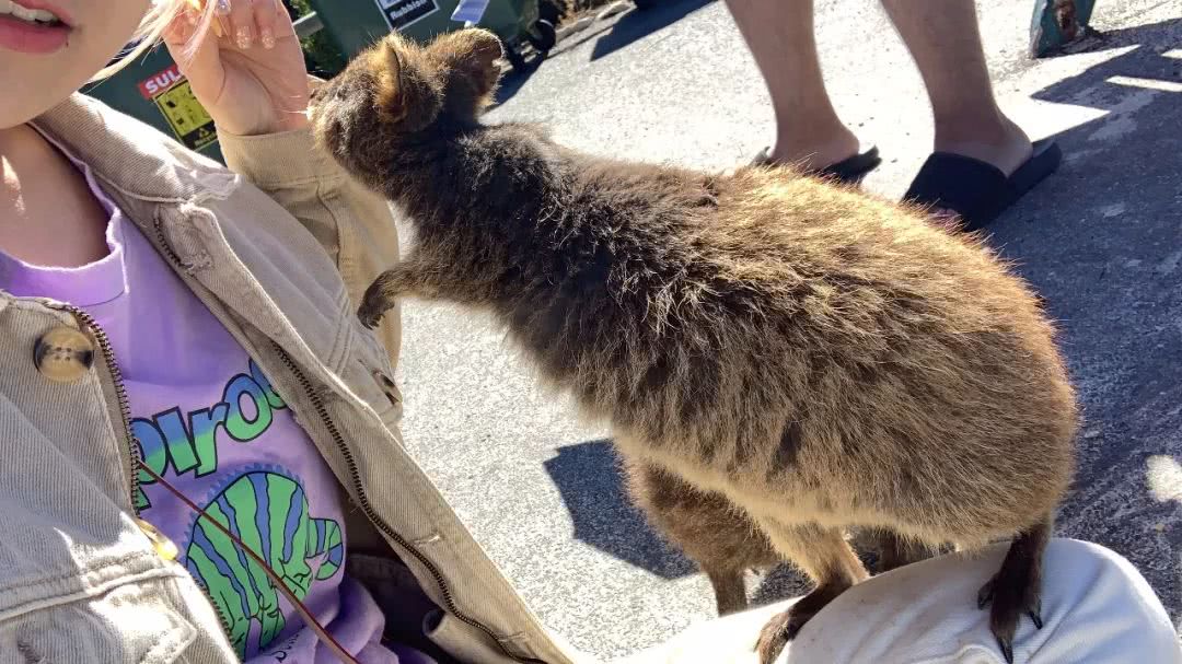 西澳大利亚珀斯有什么好玩的,西澳珀斯必去景点