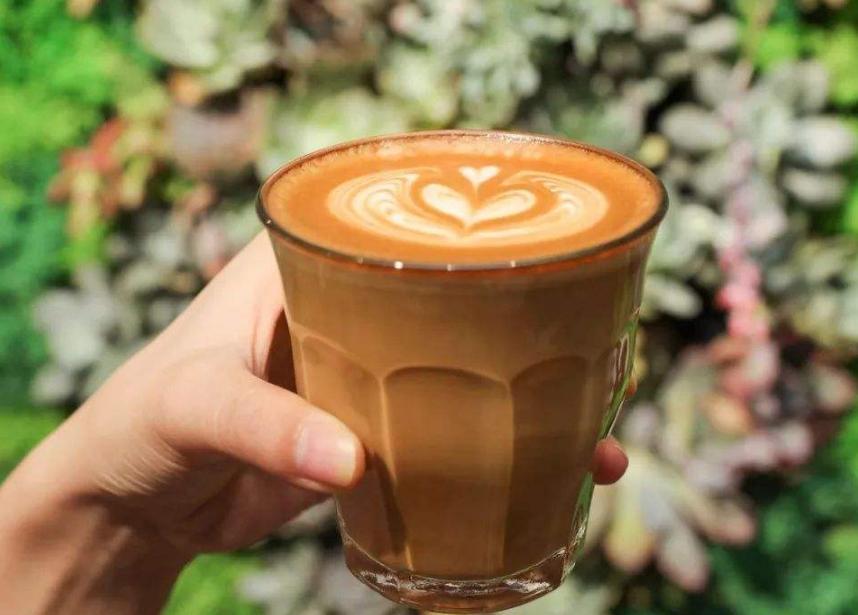 澳洲美国哪个国家好,澳洲美国