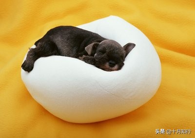 运动减肥忽略这4点会永远瘦不下,怎么运动跟养生都瘦不下来