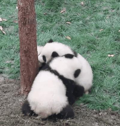 8点到9点摸高,8点多算高吗