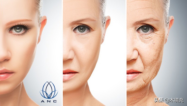 吉林胶原蛋白肽科普,燕窝胶原蛋白肽知识科普