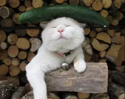 淘宝店铺如何便捷亮照,淘宝店铺如何点亮营业执照