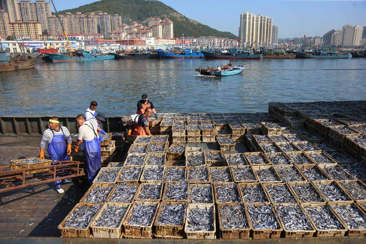 耕海牧渔业怎么样,耕海牧渔的意义