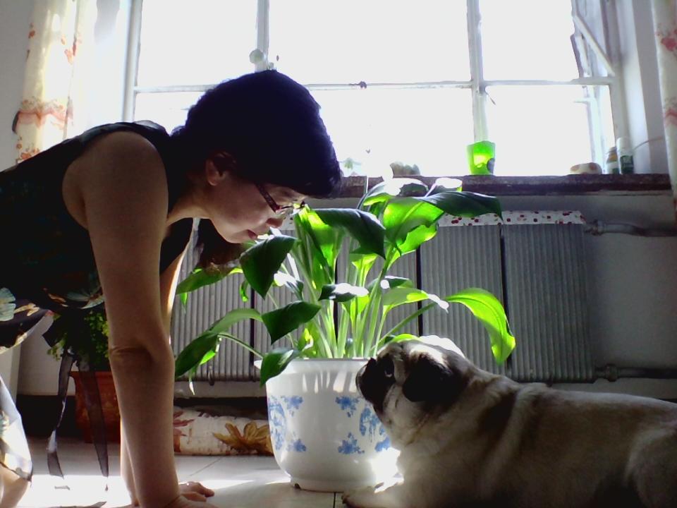 我和牛牛成长记,我和牛牛