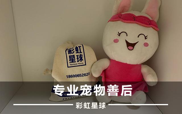 彩虹星球宠物死亡怎么处理,彩虹星球关于宠物火化的知识科普