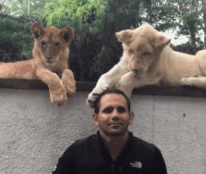 肾虚吃腰子能补肾吗,腰子和枸杞能补肾吗