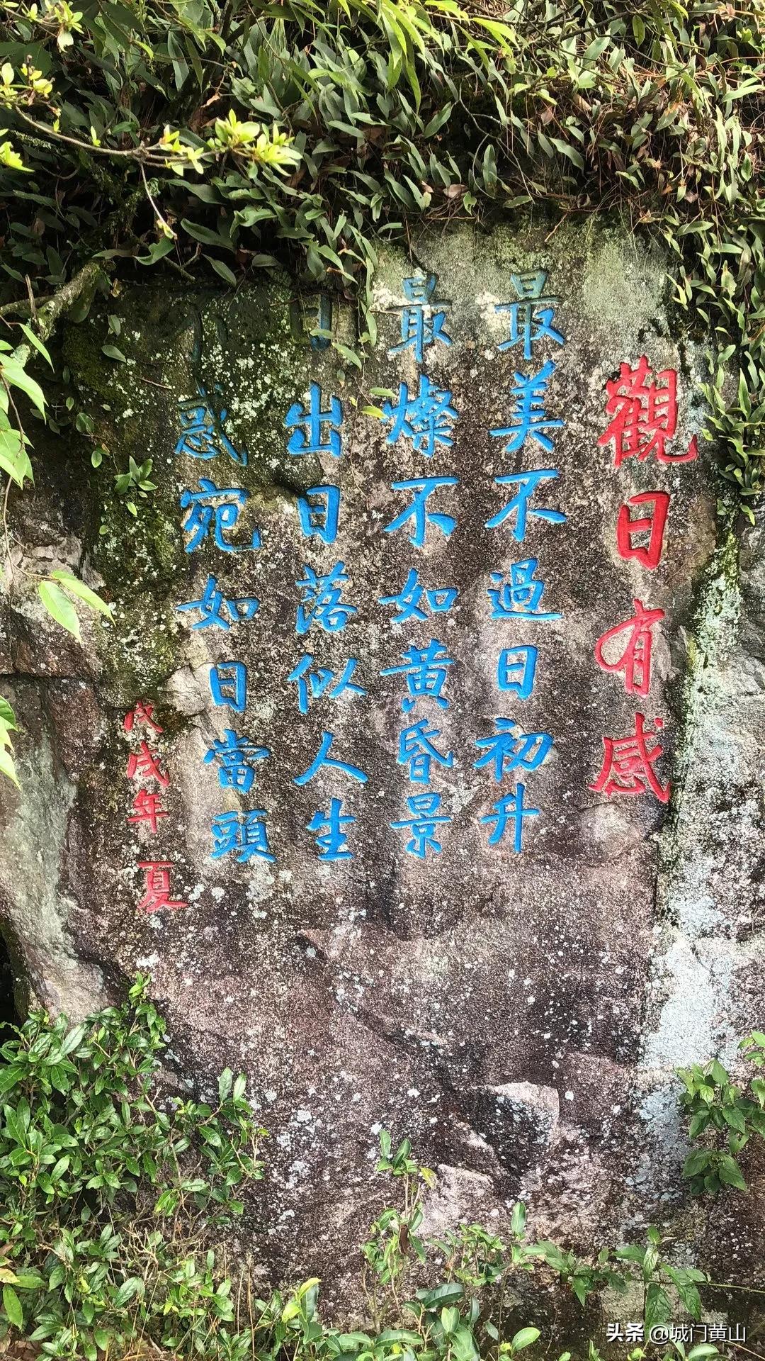 福州大湖乡冬瓜佛手瓜盛夏里在山里绽放