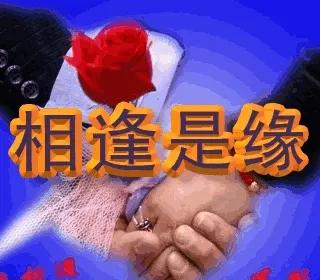 世界中诗旭月传媒.中诗国际文学总社（诗友合辑）