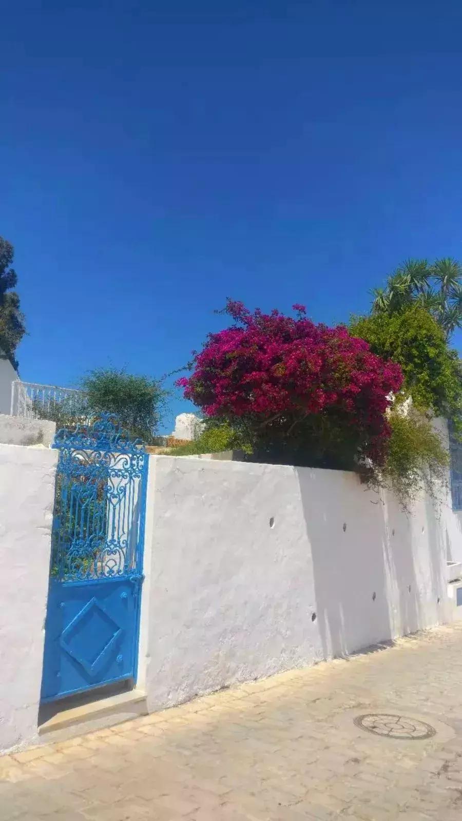 突尼斯是不是地中海,突尼斯一半沙漠