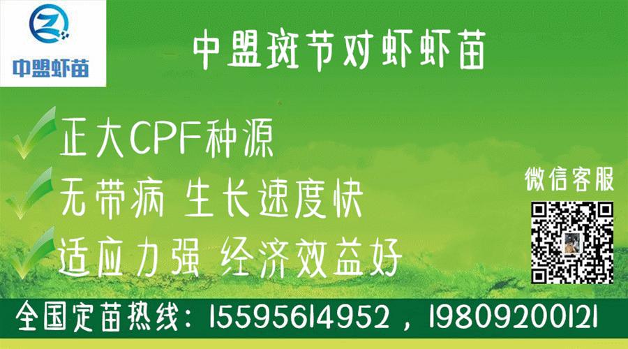 农科专家深入田间地头,科技专家进村春耕