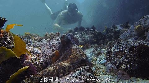 人鱼情未了在线阅读,人鱼情未了电视剧免费观看